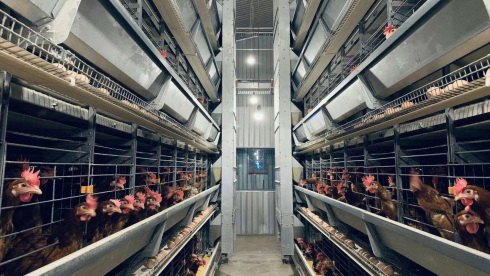 “無(wú)抗時(shí)代”對(duì)養(yǎng)殖場(chǎng)設(shè)備提出了哪些要求？