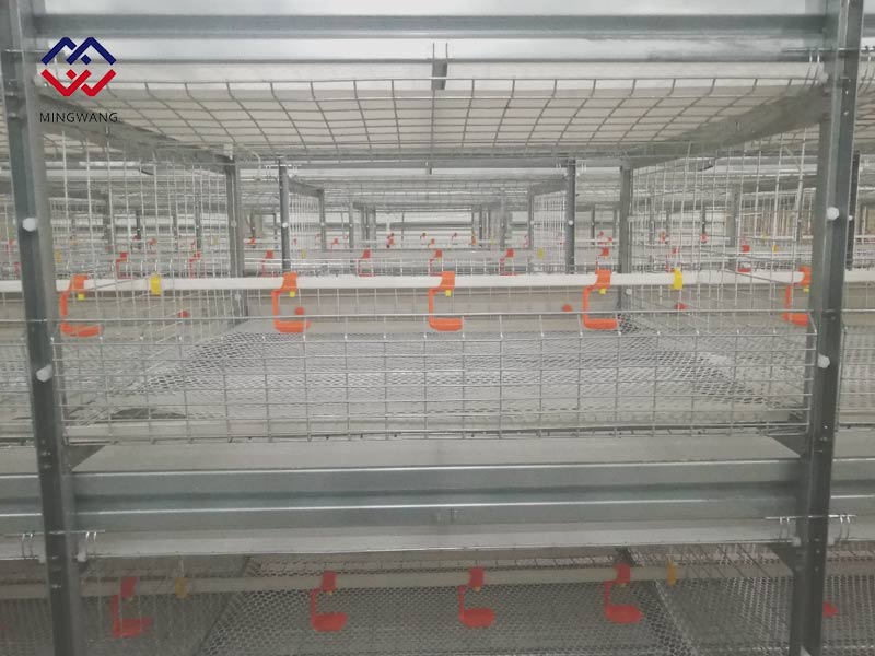 養(yǎng)雞怎樣選擇肉雞籠？