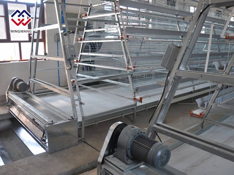 明旺輸送帶式清糞機(jī)簡介