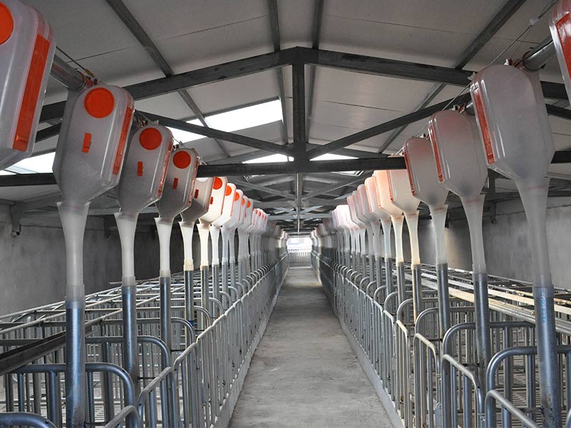 未來(lái)七年，中國(guó)豬肉產(chǎn)能將新增1400萬(wàn)頭！這類(lèi)養(yǎng)豬場(chǎng)前景廣闊！